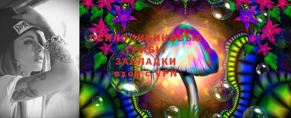 меф Ладушкин