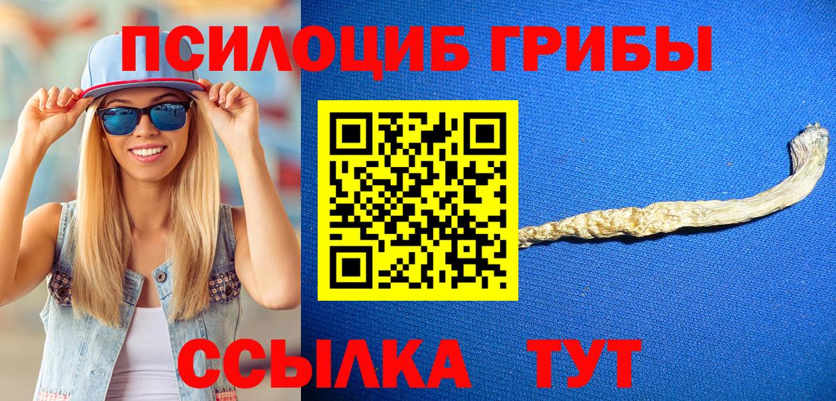 Галлюциногенные грибы Cubensis Бийск