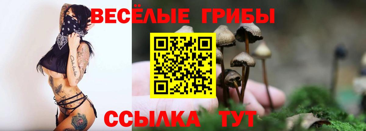 Бийск  Галлюциногенные грибы MAGIC MUSHROOMS  Вход с VPN  Псилоцибиновые грибы мухоморы 